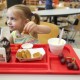 Early Childhood Nutrition