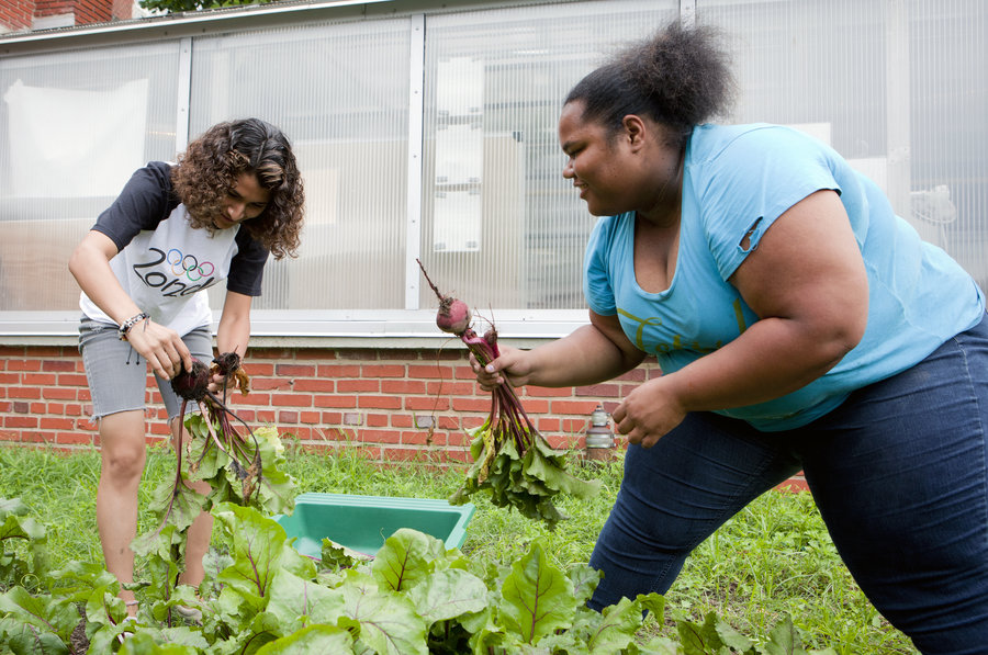 Yanci Flores (left) and Roshawn Little harvest beets from the garden at Eastern Senior High School on July 17. Lydia Thompson/NPR