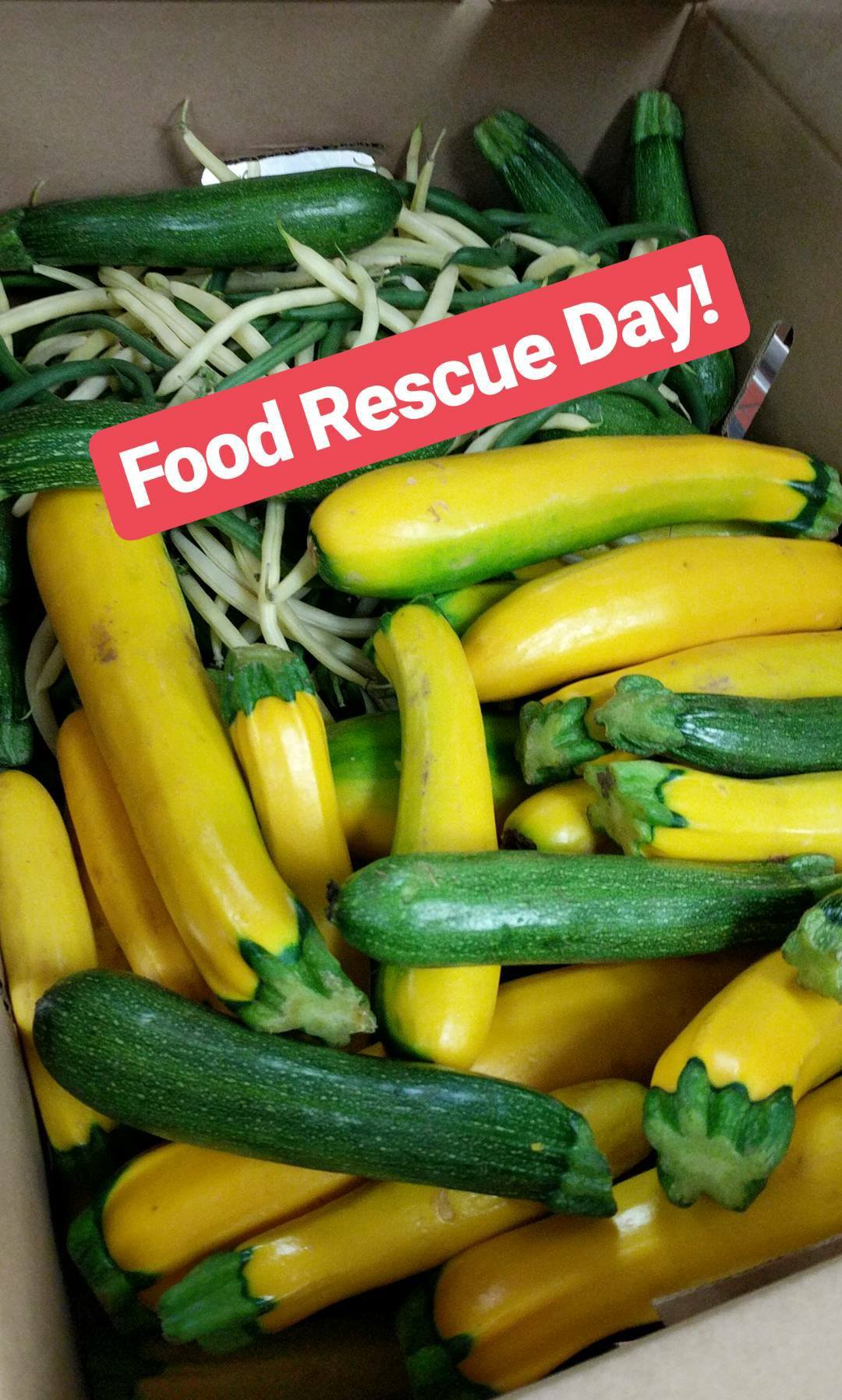 Food rescue fights hunger